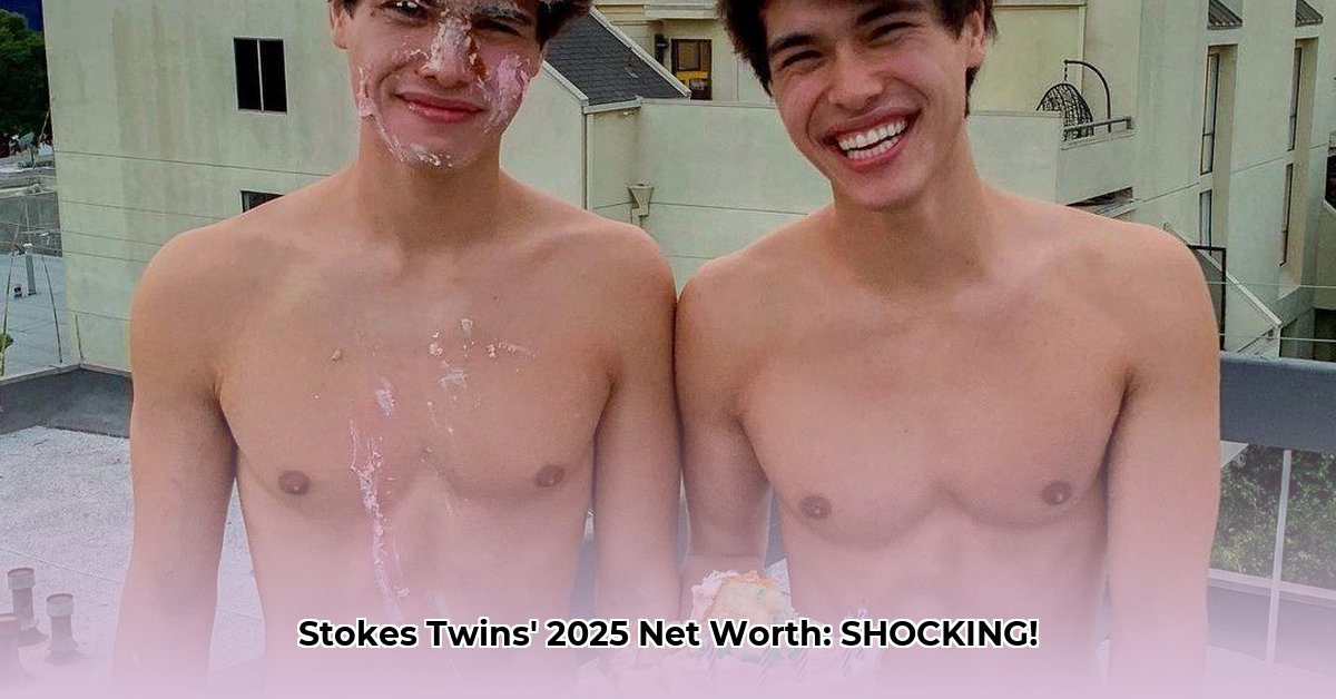 stokes-twins-net-worth